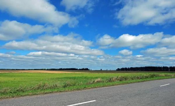 Feld Sommerlandschaft Mit Himmel Und Wolken — Stockfoto
