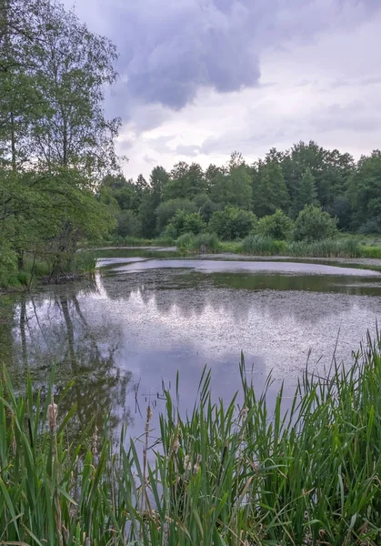 Park yolları inşaatı için salak ahşap bölümler