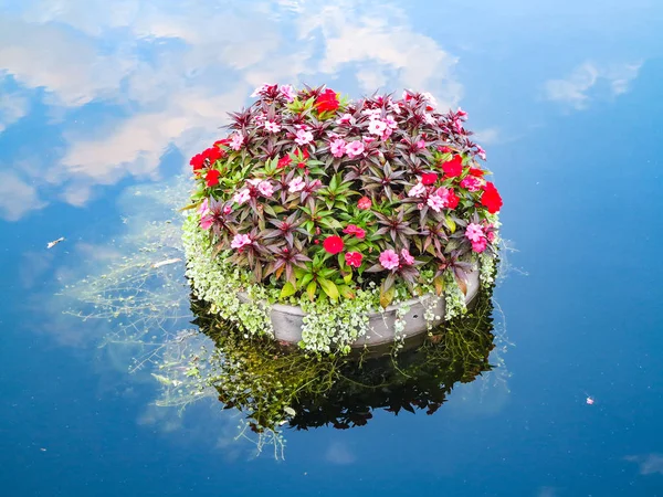 Sebuah Panci Dengan Tanaman Dan Bunga Mengambang Atas Air — Stok Foto