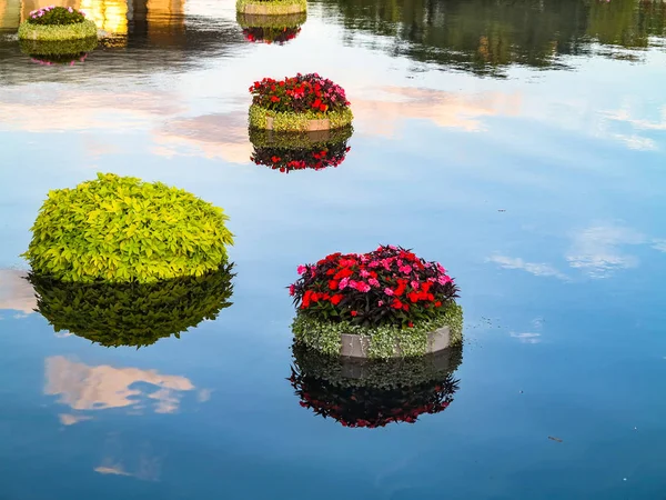 Potten Met Planten Bloemen Drijvend Water — Stockfoto