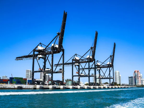 Schwarze Kraniche Hafen Von Miami — Stockfoto