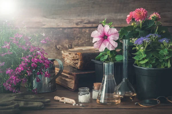 Sämlinge Von Gartenpflanzen Und Blumen Alte Bücher Und Homöopathische Heilmittel — Stockfoto