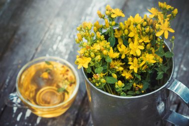  St Johns wort çiçeklenir büyük retro kupa ve sağlıklı hypericum çay - odak içinde değil. Üstten görünüm.