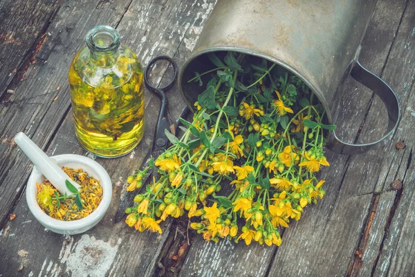 Hypericum Třezalka Tečkovaná Rostliny Ropy Nebo Infuzní Láhvi Malty Dřevěné — Stock fotografie