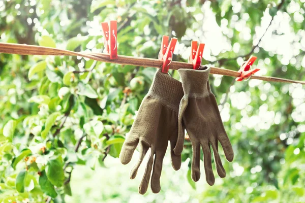 Γάντια Κηπουρικής Που Κρέμεται Από Ένα Σκοινί Μανταλάκια Στον Κήπο — Φωτογραφία Αρχείου