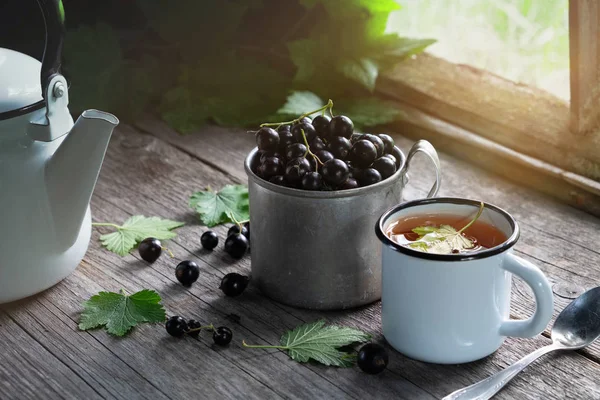 Bir Fincan Siyah Kuş Üzümü Emaye Fincan Meyve Çay Siyah — Stok fotoğraf