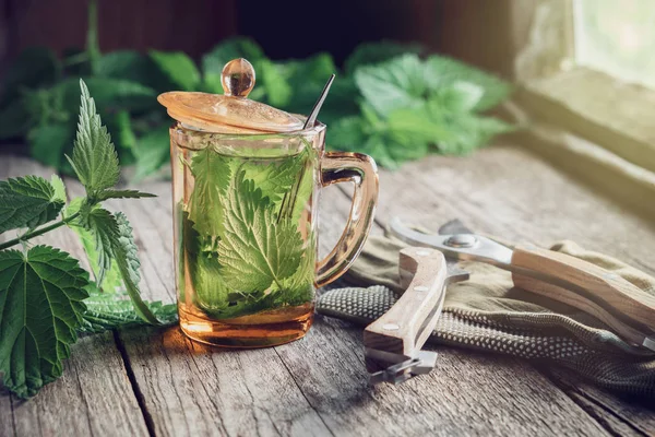 Infusión Ortiga Saludable Plantas Ortiga Guantes Podadora Jardín Una Mesa —  Fotos de Stock