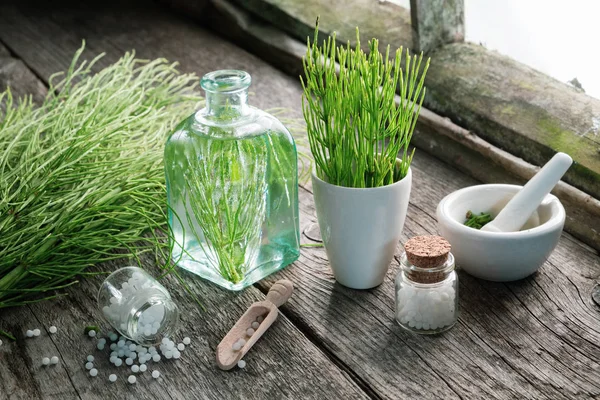 Horsetail healing herb, bottle of equisetum infusion, mortar and bottles of homeopathic globules. Homeopathy and herbal medicine. — Stock Image Horsetail Healing Herb Bottle Equisetum Infusion Mortar Bottles Homeopathic Globules Royalty Free Stock Images