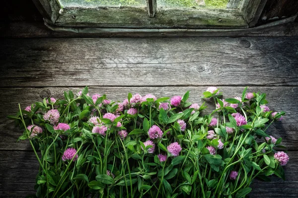 Lóhere Rózsaszín Virágok Régi Fából Készült Asztal Közelében Ablak Retro — Stock Fotó