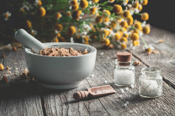 Mortar of dried healing herbs, homeopathic globules and bunch of chamomile plant. Homeopathy and herbal medicine.