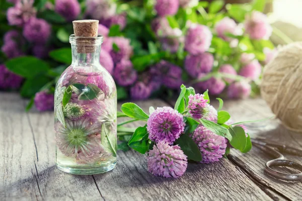 Tintura Trébol Infusión Flores Trébol Ramo Tablero Madera — Foto de Stock