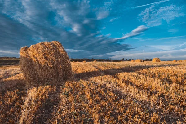 Fardos Heno Campo Otoño Tiempo Nublado — Foto de Stock