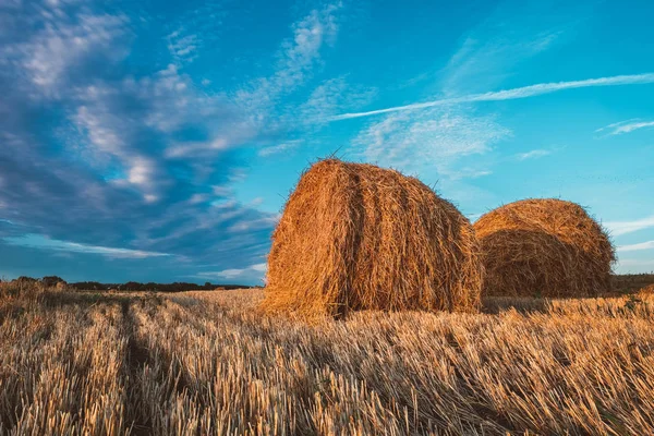 Two Hay Bales Field Autumn Cloudy Weather — Stock Photo, Image