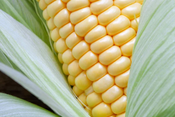 Grains Leaves Ripe Sweet Corn Closeup — Stock Photo, Image