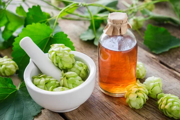 Gezonde Hopbellen Mortel Fles Geneeskrachtige Tinctuur Infusie — Stockfoto