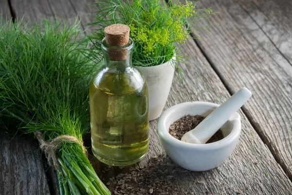 Mazzo Aneto Fresco Aromatico Malta Semi Finocchio Bottiglia Olio Aneto — Foto Stock