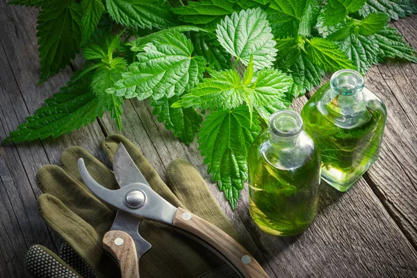 Nettle Twigs Healthy Infusion Oil Bottle Gloves Garden Pruner Old — Stock Photo, Image