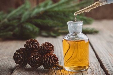 Köknar cam damlalık şişe, bir damla çam uçucu yağ damlama cam damlalık aromatik yağda. Çam kozalakları, arka plan, odakta değil üzerine iğne yapraklı ağaç dalları.