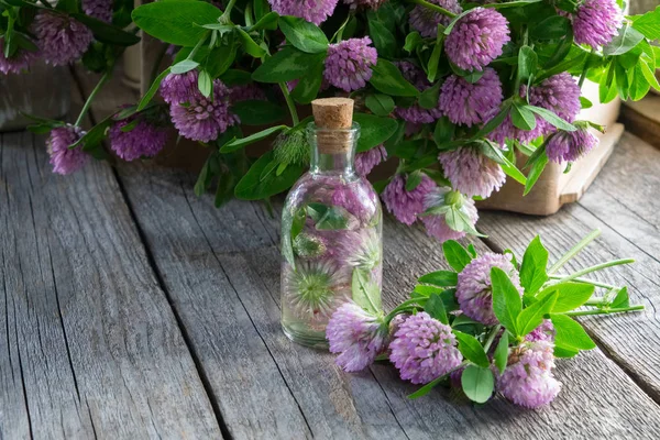 Fles Van Klaver Tinctuur Infusie Clover Bloemen Bos Houten Kist — Stockfoto