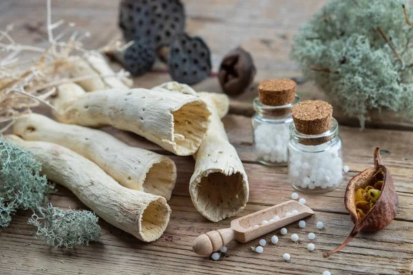 Lahve Homeopatické Globule Sušený Mech Suché Kořeny Ořechů Rostlin Medicína — Stock fotografie