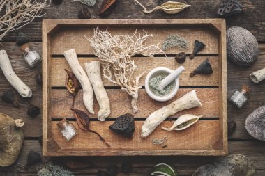 Kurutulmuş yosun, Kuru kökleri, fındık kabuğu, hindistancevizi, bitkiler, okaliptüs, lotus tohumu, şişe Homeopatik globülleri, harç ve havaneli. Üstten görünüm.