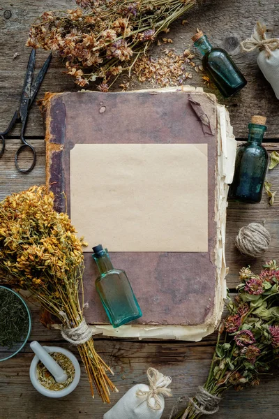 Oude antieke boek, tinctuur flessen, assortiment van trossen van droge medicinale kruiden, mortel. Kruidengeneeskunde. — Stockfoto