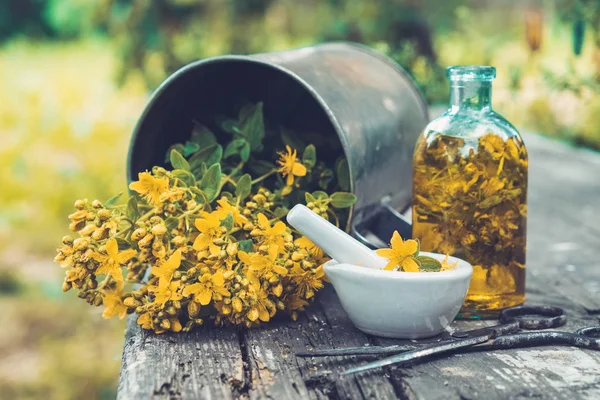 St Johns wort flowers, oil or infusion bottle, mortar and big vintage metal mug of Hypericum plants on wooden board outdoors. — Stock Photo, Image