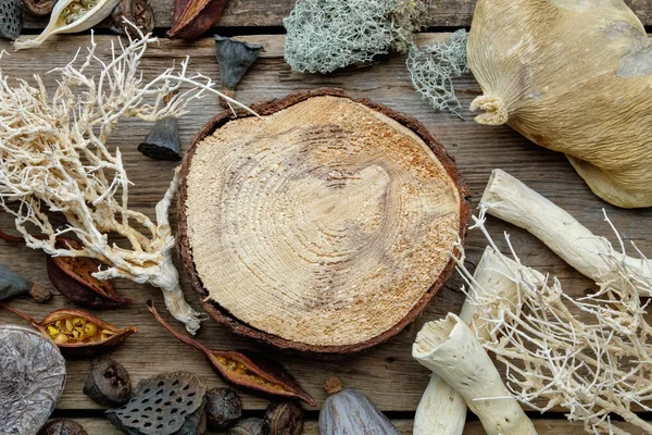 Holzstumpf, getrocknete Wurzeln, Nussschale, Kokosnüsse, Trockenpflanzen, Eukalyptus, Lotuskerne für floristisches Design auf alten Holzbrettern. Ansicht von oben. — Stockfoto
