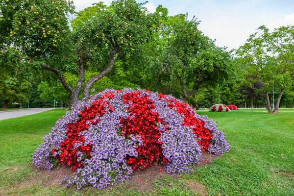 Schönes Blumenbeet im Sommerpark. — Stockfoto