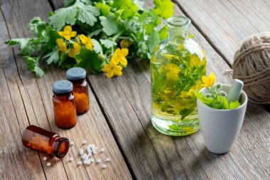 Homeopatik globüller üç şişe, infüzyon şişesi, Chelidonium majus bitkiler ve tetterwort harç.