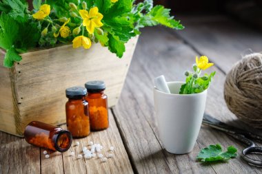 Homeopatik globülşişeleri, Chelidonium majus bitkileri ahşap sandık ve tetterwort harç.