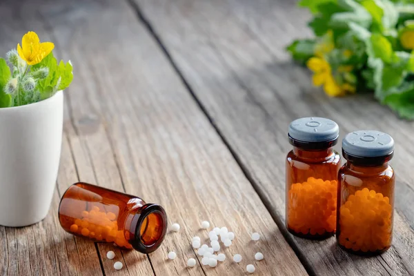 Flessen homeopathische bolletjes, Chelidonium majus planten en mortel van tetterwort. Ruimte kopiëren voor tekst. — Stockfoto