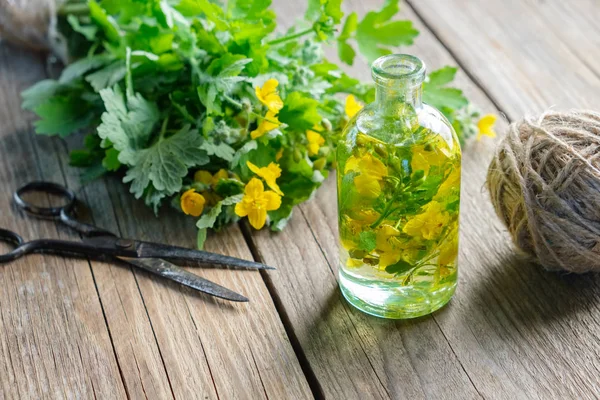 Bouteille de teinture ou d'huile de tetterwort, plante fraîche Chelidonium majus, mortier, ciseaux et jute . — Photo