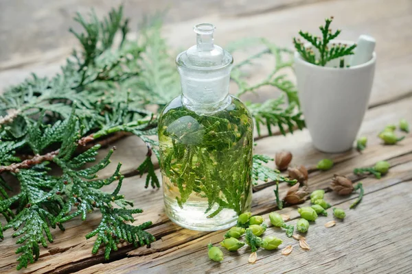 Fles Thuja infusie of olie, mortel en Thuja kegels. — Stockfoto