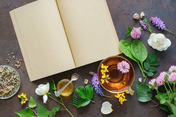 Φαρμακευτικά βότανα και φυτά, ανοίξτε ένα κενό χάρτινο βιβλίο. Γυάλινη κούπα από υγιεινό τσάι βοτάνων και μικρό βάζο μελιού. Κορυφαία προβολή. — Φωτογραφία Αρχείου