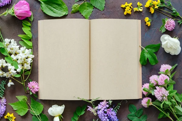 Hierbas y plantas medicinales, libro en blanco abierto. Vista superior . — Foto de Stock