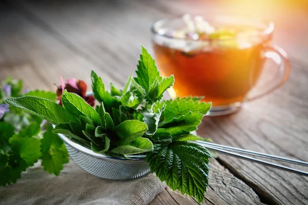 Piante medicinali ed erbe in infusore di tè, tazza di tisana sana sullo sfondo . — Foto Stock