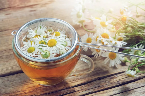 Gänseblümchen-Blüten im Tee-Ei und gesunde Kamille-Kräutertee-Tasse. — Stockfoto