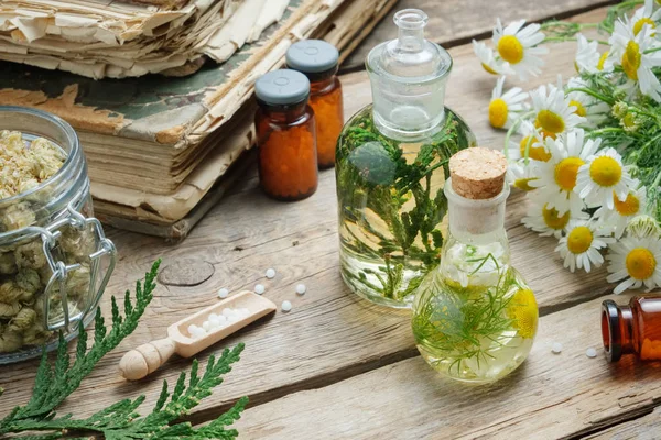 Infusie flessen, kamille bloemen en Thuja occidentalis plant, flessen van homeopathische bolletjes en oude boeken. — Stockfoto