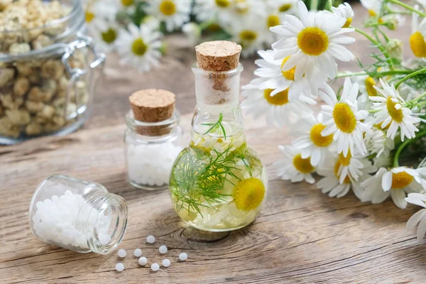 Daisy infúzió palack, kamilla virágok, üveg homeopátiás globulusok és üveg jar száraz margarénák. — Stock Fotó