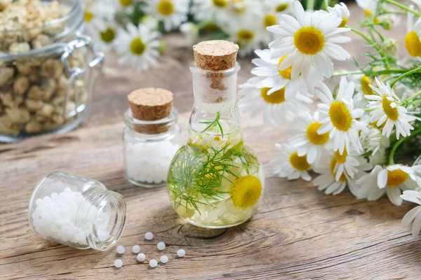 Gänseblümchen-Infusionsflasche, Kamillenblüten, Flaschen homöopathischer Globuli und Glas trockener Gänseblümchen. — Stockfoto