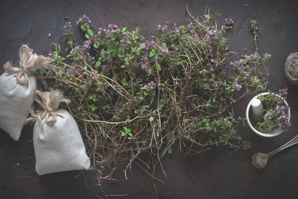 Thyme flowers, mortar and sachets full of thymus serpyllum medicinal herbs. — Stock Photo, Image
