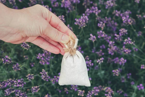 Vrouw houdt in haar hand een sachet gevuld met droge lavendel. Lavendel bloemen op achtergrond. — Stockfoto