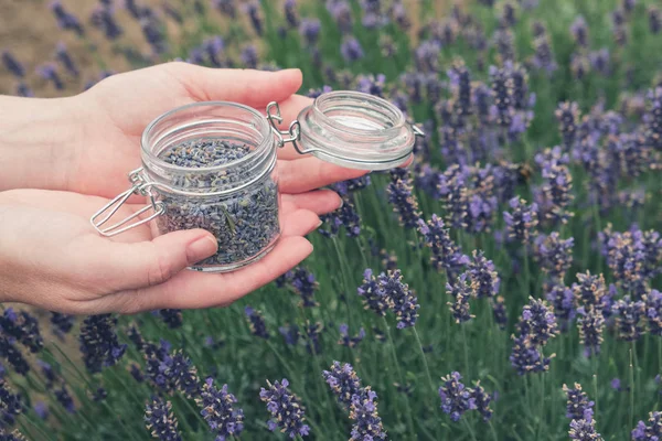 Vrouw holding in haar handen open glazen pot van lavendel bloemen. — Stockfoto