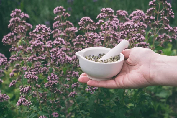 Femme tenant dans ses mains un mortier d'herbes d'origan . — Photo