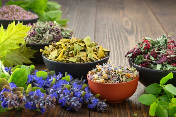 Cuencos Hierbas Medicinales Secas Muérdago Mejorana Silvestre Brezo Flores Caléndula — Foto de Stock