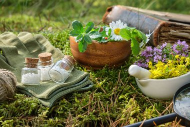 Bir şişe homeopatik globula, havan topu şifalı bitkiler, eski bir kitap ve açık havada bir yosun üzerinde büyüteç. 
