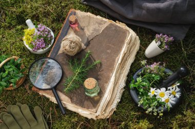 Gerekli yağ şişeleri, şifalı bitkiler, eski kitaplar ve loupe. Yukarıdan görüntüle.