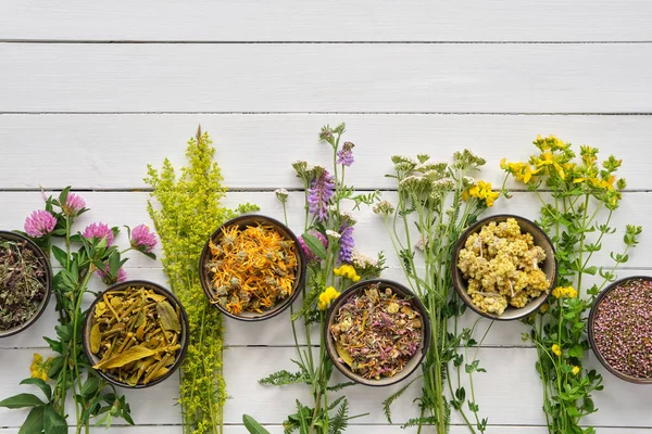 Medicinal Plants Bowls Dry Medicinal Herbs Wooden Table Top View — Stock Photo, Image