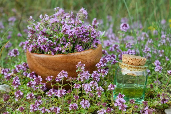 Bottle Thyme Essential Oil Wooden Mortar Filled Thymus Serpyllum Flowers — Stock Photo, Image
